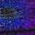 Bots Now Rule the Internet Highway